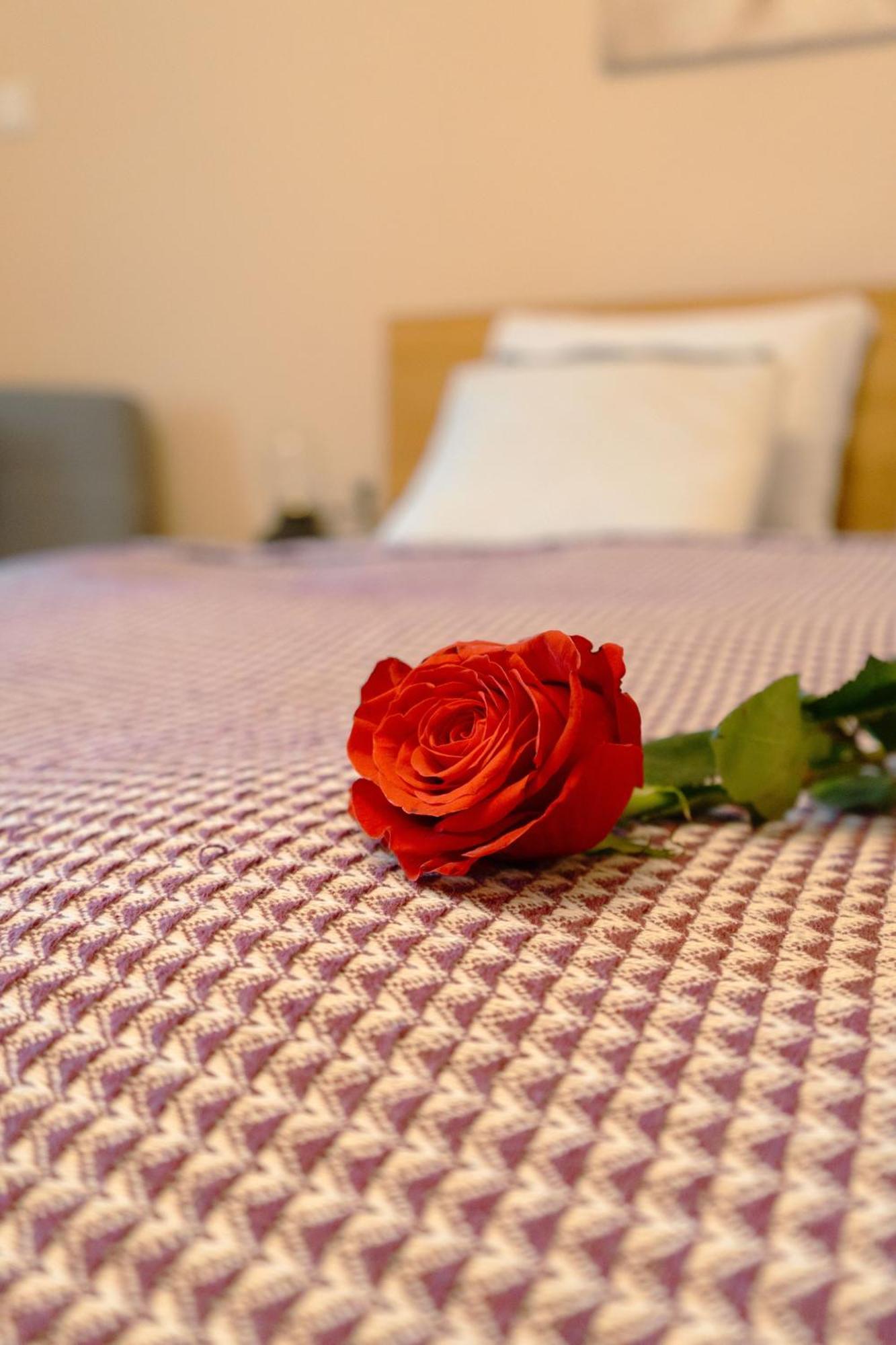 Hotel Aura Banská Štiavnica Zewnętrze zdjęcie
