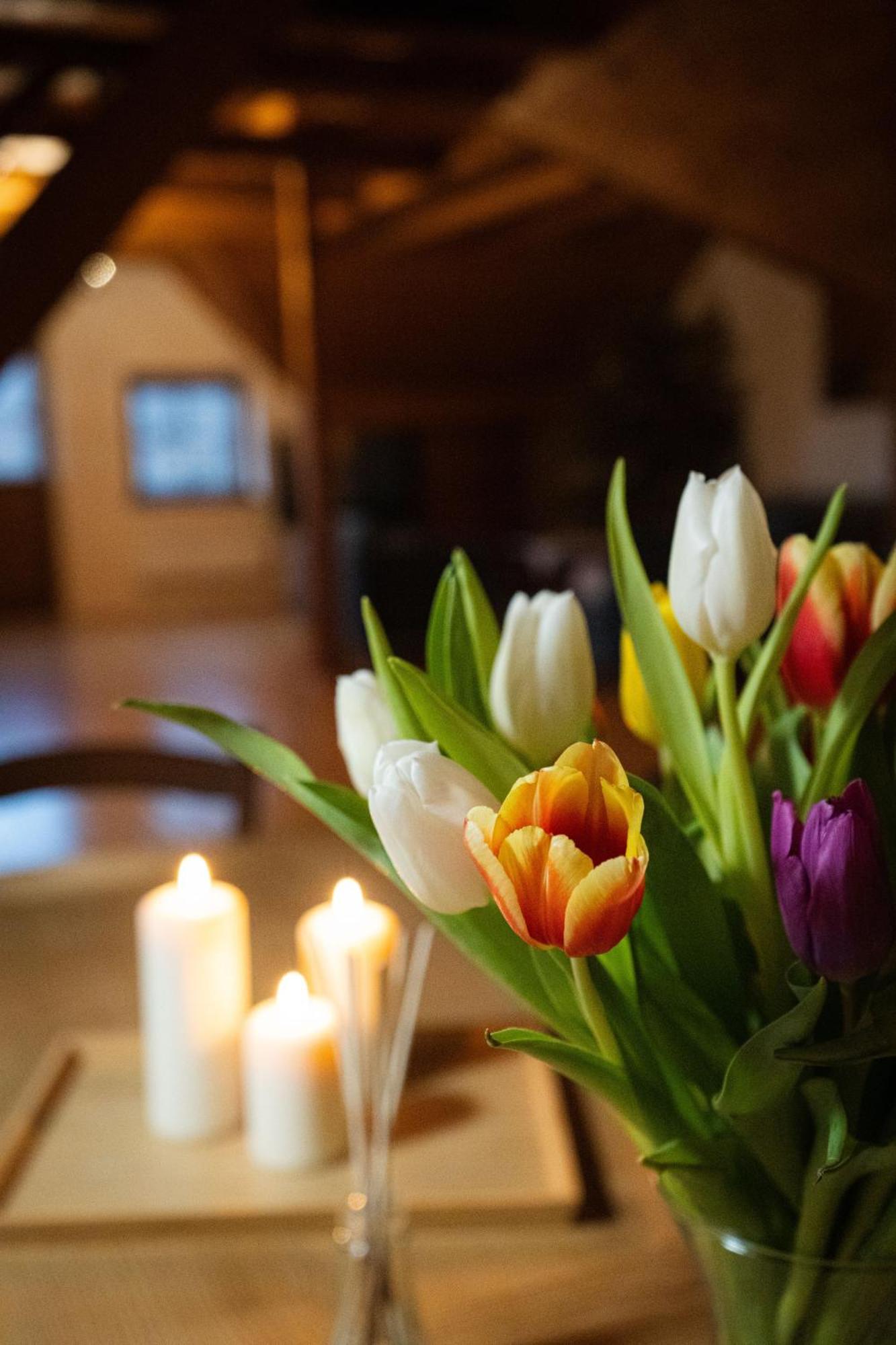 Hotel Aura Banská Štiavnica Zewnętrze zdjęcie
